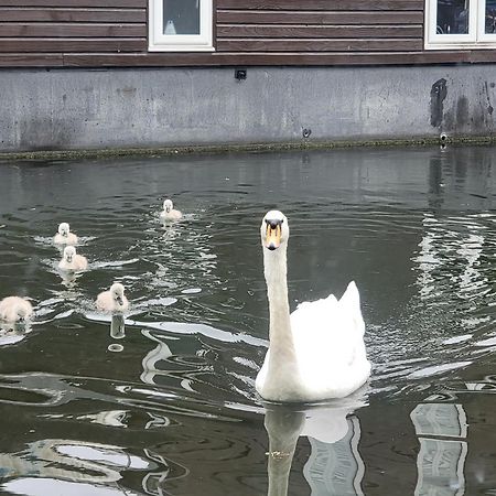 Lovely Canal Boat In Little Venice For Family & Friends London Eksteriør billede