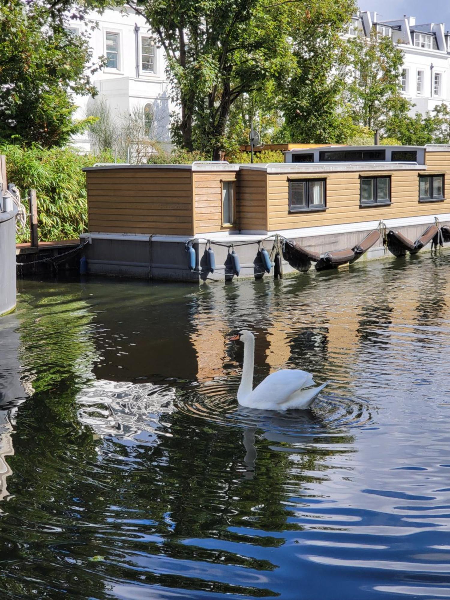 Lovely Canal Boat In Little Venice For Family & Friends London Eksteriør billede