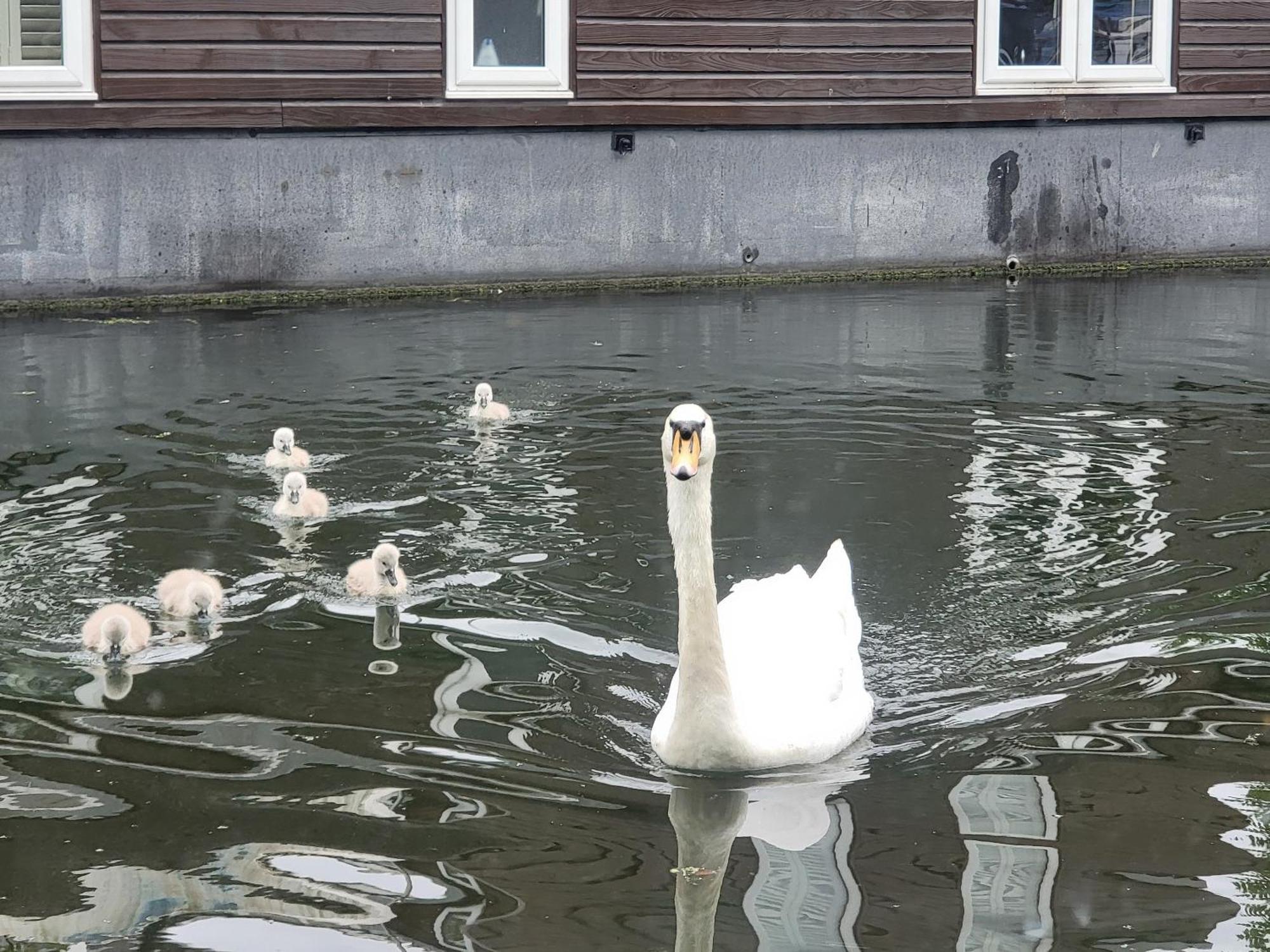 Lovely Canal Boat In Little Venice For Family & Friends London Eksteriør billede